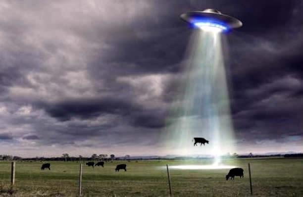 404 Cow Abduction UFO