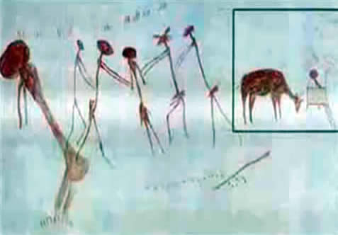 29,000 year old cave painting from Kolo Tanzania showing four entities surrounding a female figure