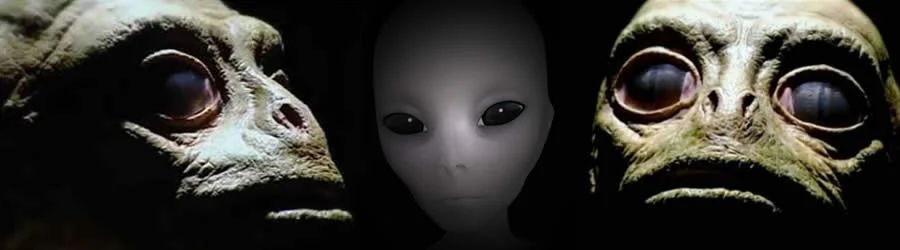 Reptilians And Grey Alien